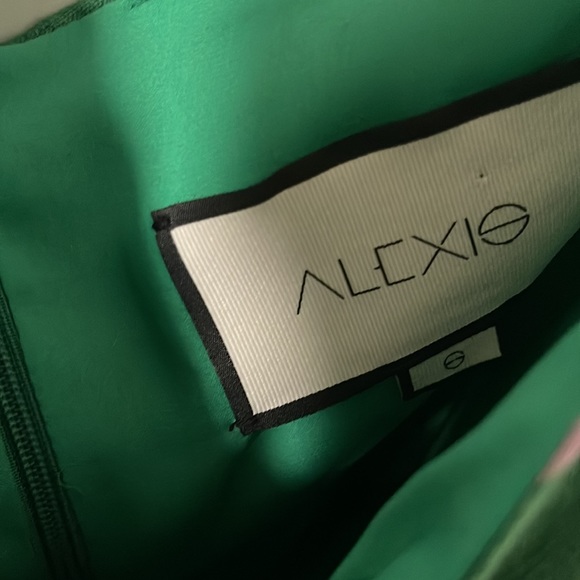 ALEXIS Pilou Floral Linen Mini Dress - Picture 6 of 9